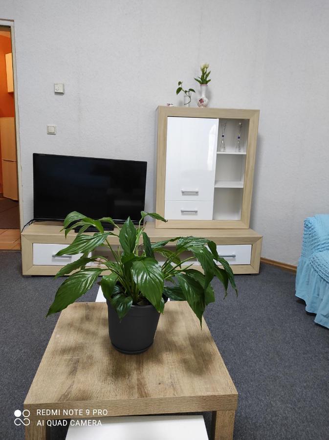 Apartament Rose Vienna Malfatigasse Zewnętrze zdjęcie